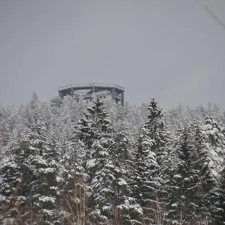 Apartmán Lipno Z1 -